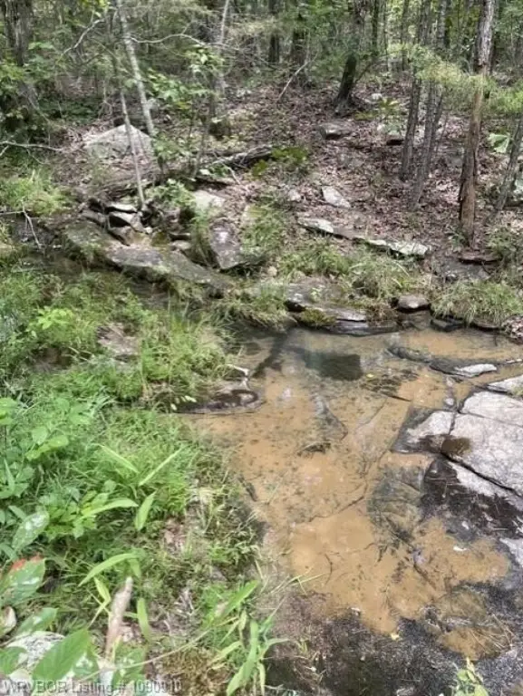 Picture 10