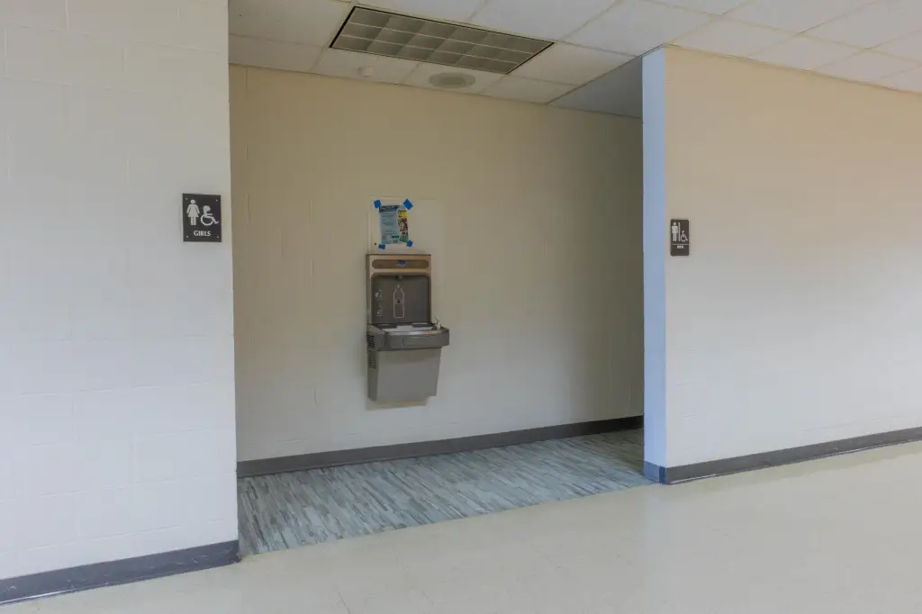 Picture 47