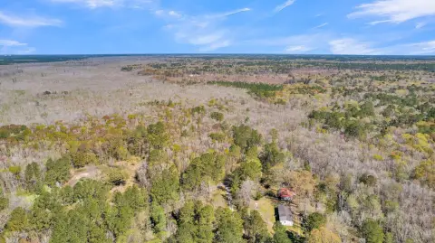 20 Acres Untouched Land, Summerville