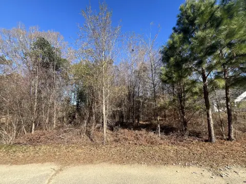 Summerton Land Near Lake Marion
