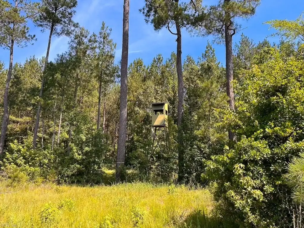 Picture 22