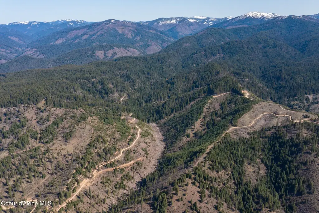 Picture 31