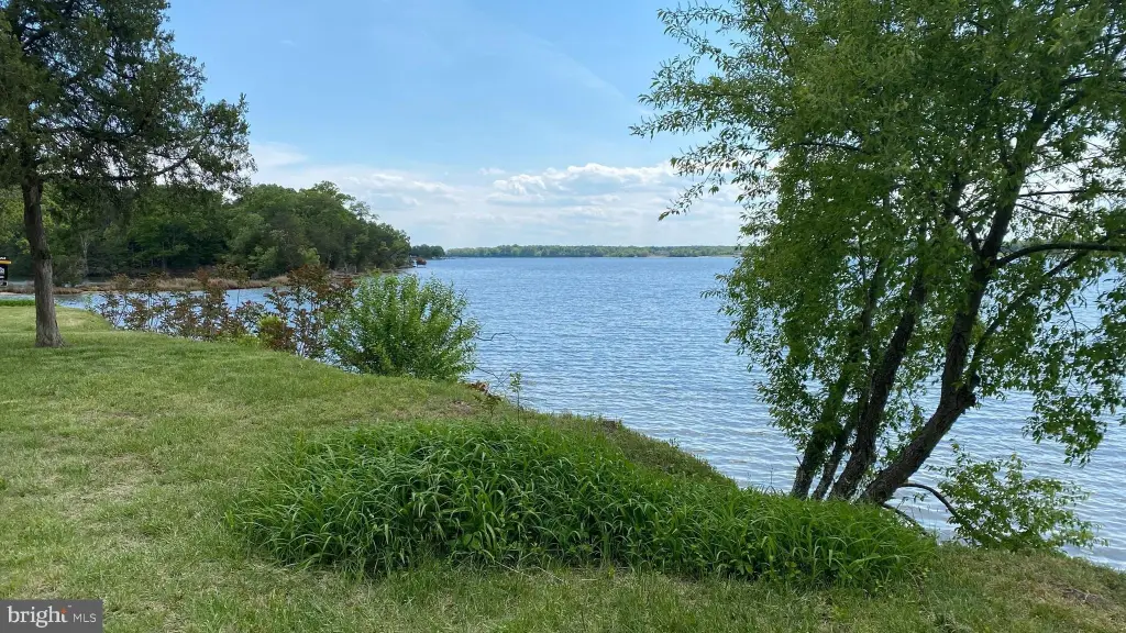 Picture 29