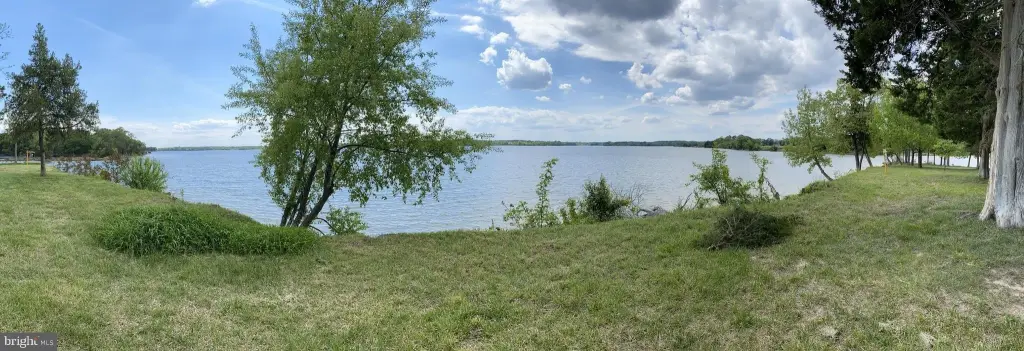 Picture 16