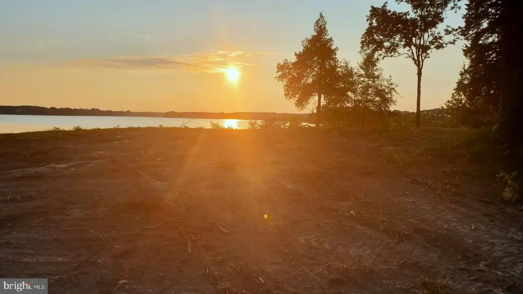 Picture 47