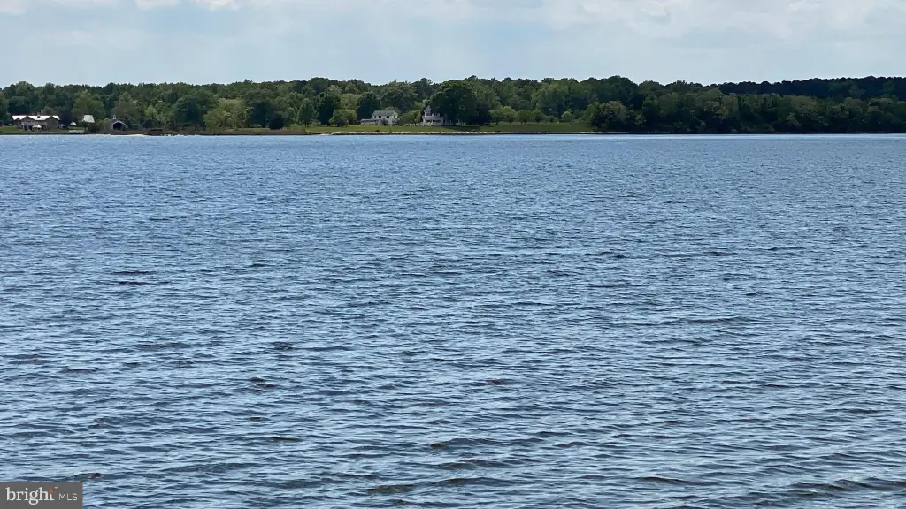 Picture 20