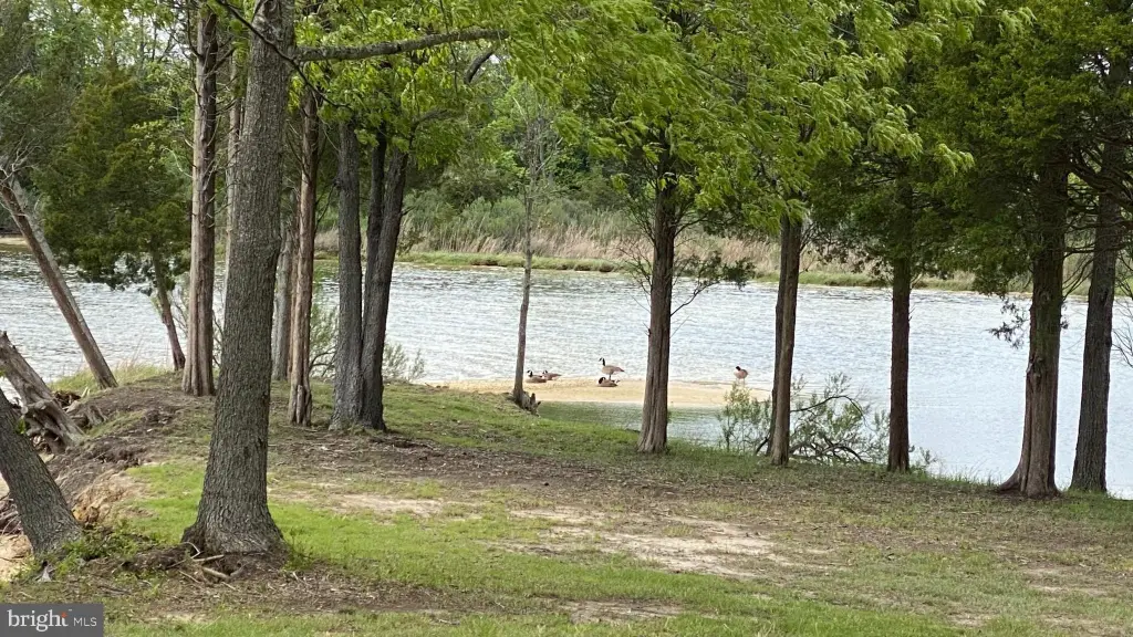 Picture 13