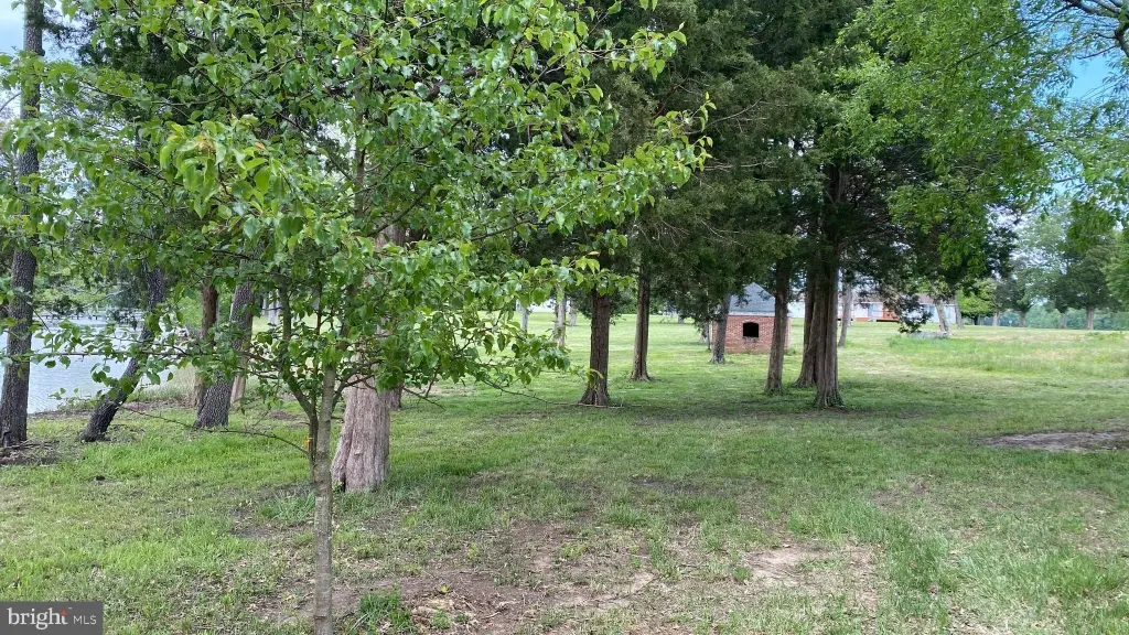 Picture 22