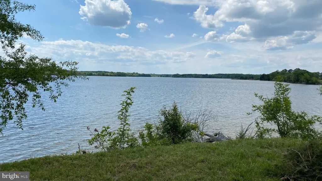 Picture 31