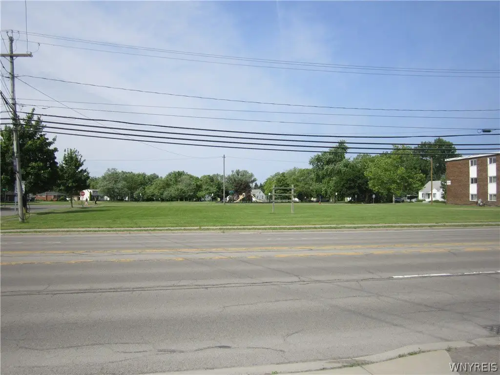 Picture 6