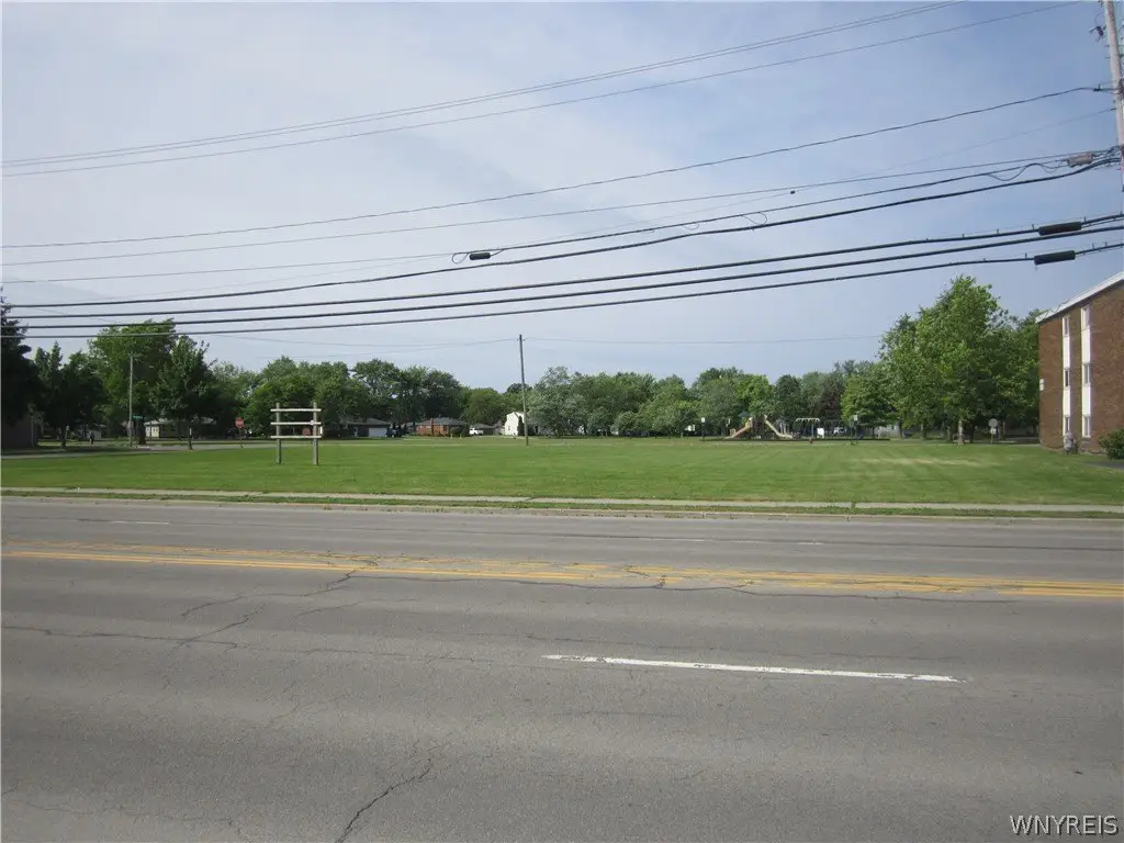 Picture 8