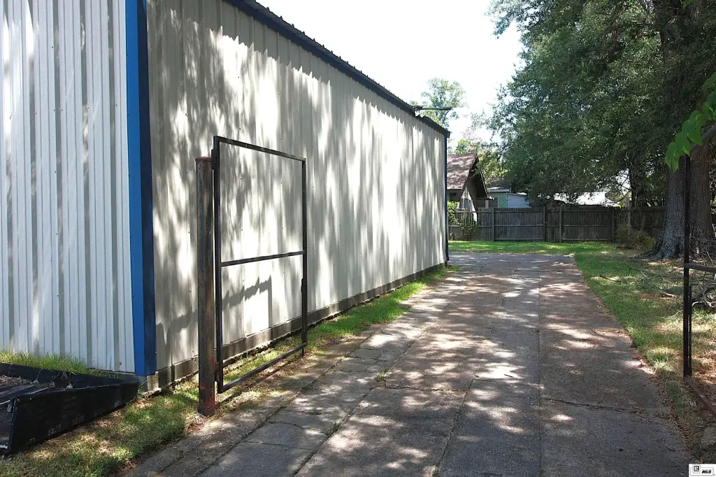 Picture 5