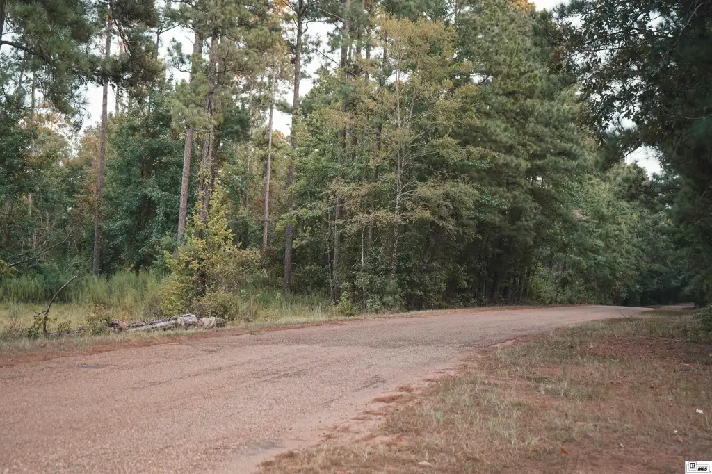 Picture 10