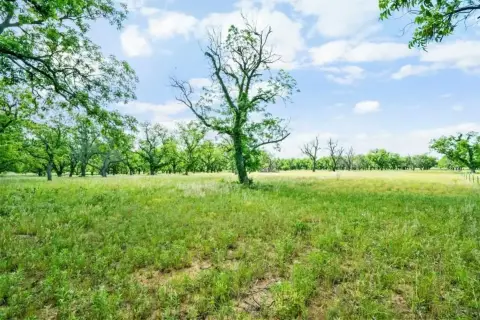 20 Acres with Pecan Trees