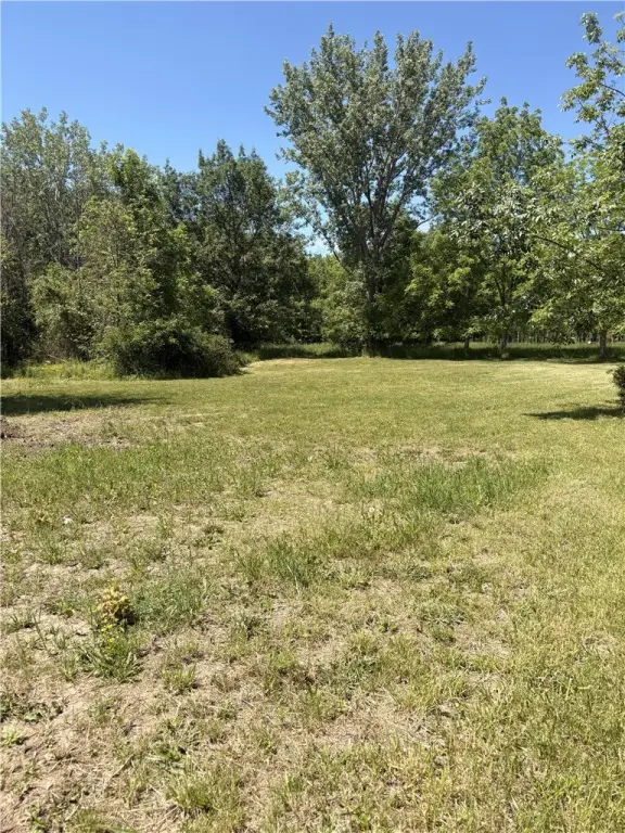 Picture 6