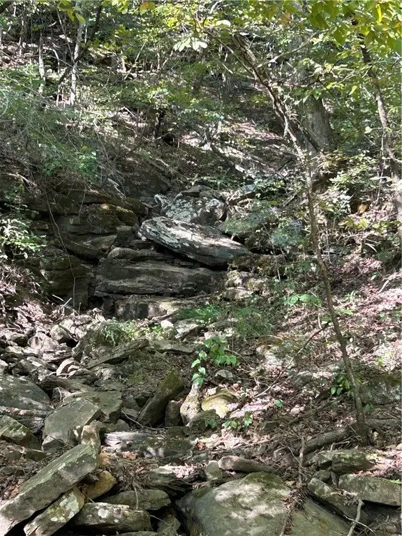 Picture 45