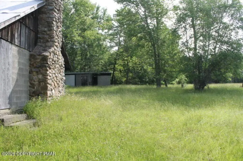 Picture 8