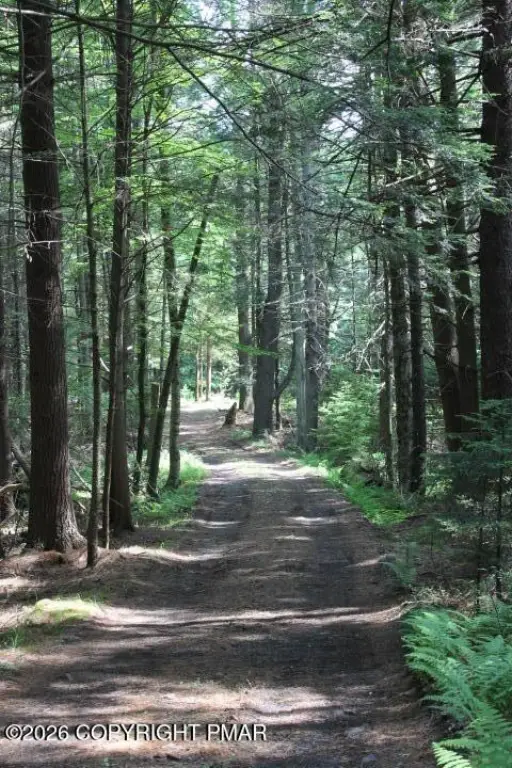 Picture 31