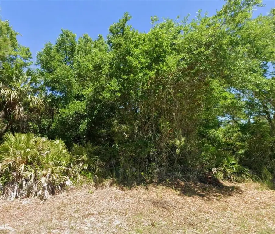 Picture 6