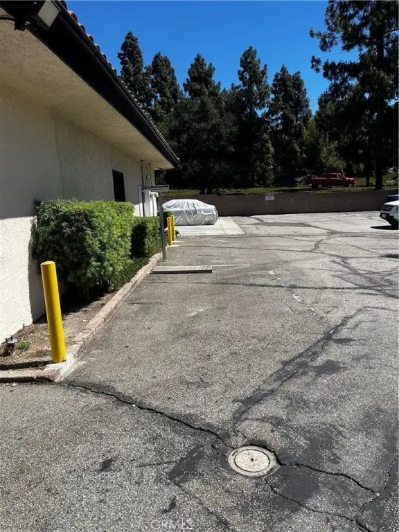 Picture 6