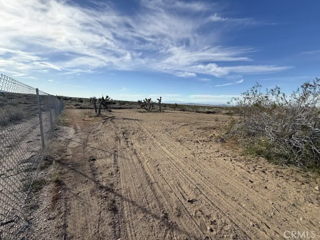 Picture 20
