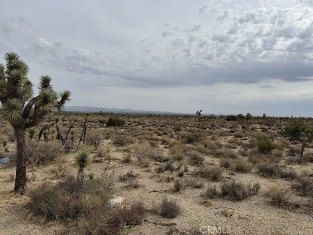Picture 9