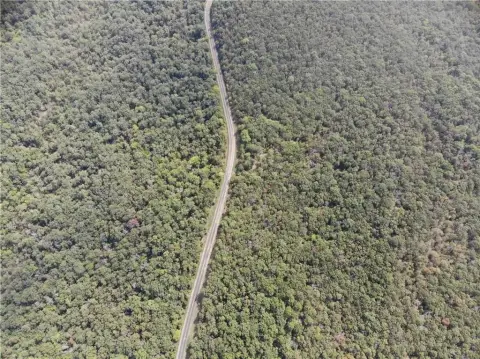 70 Acres Hunting Land Stilwell