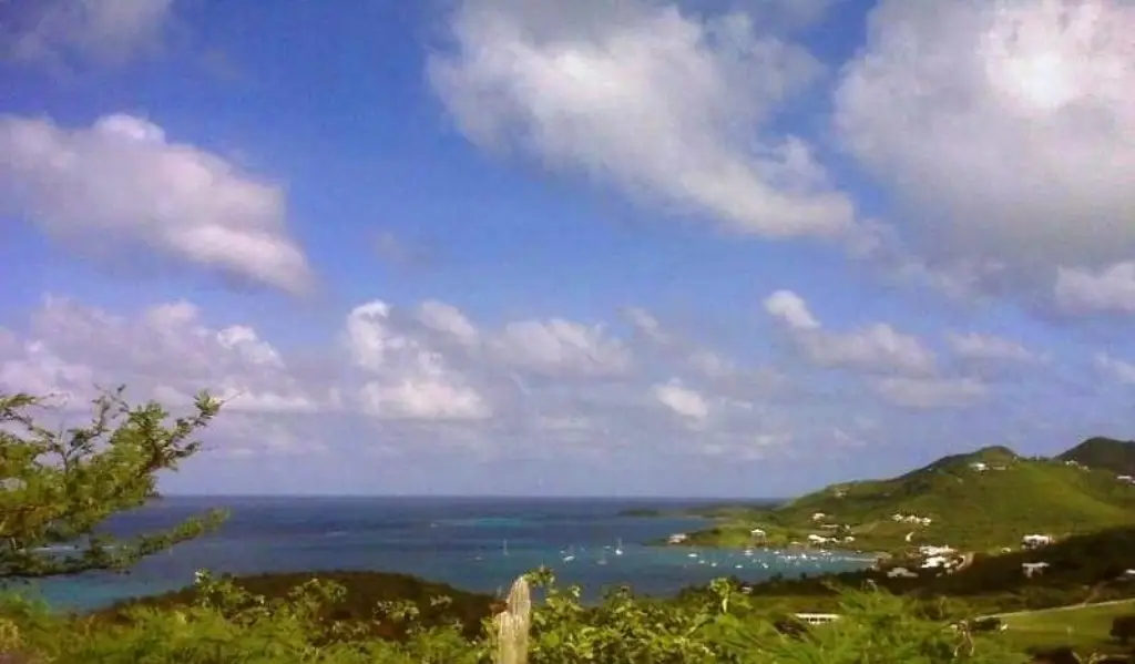 Picture 10