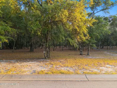 Homesite in Exclusive Village Green