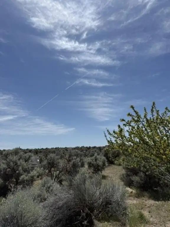 Picture 45