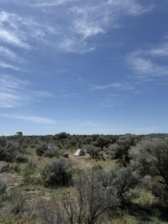 Picture 30