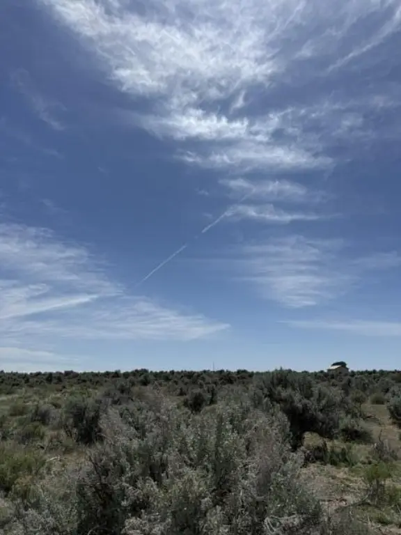 Picture 44