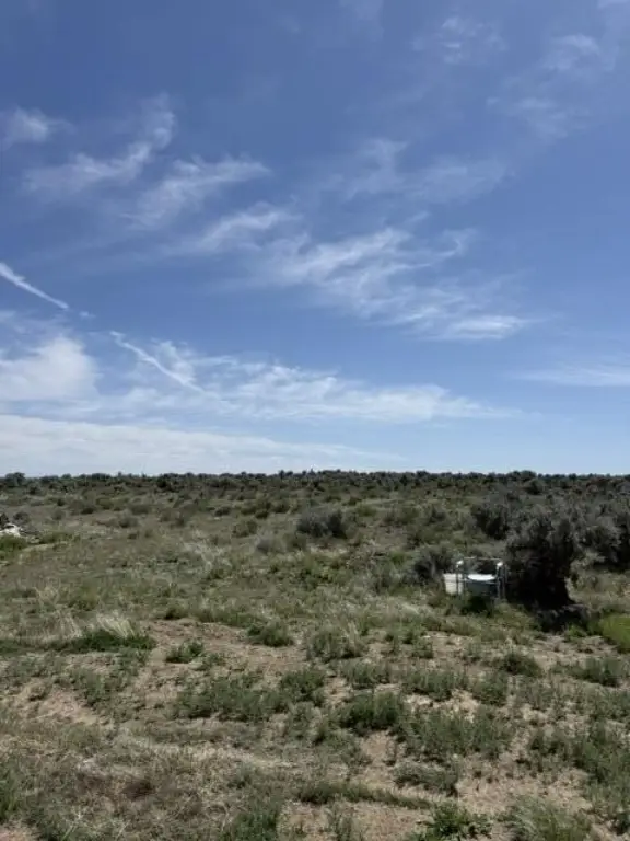 Picture 36