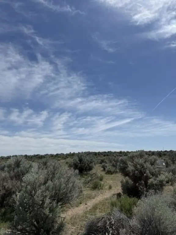 Picture 28
