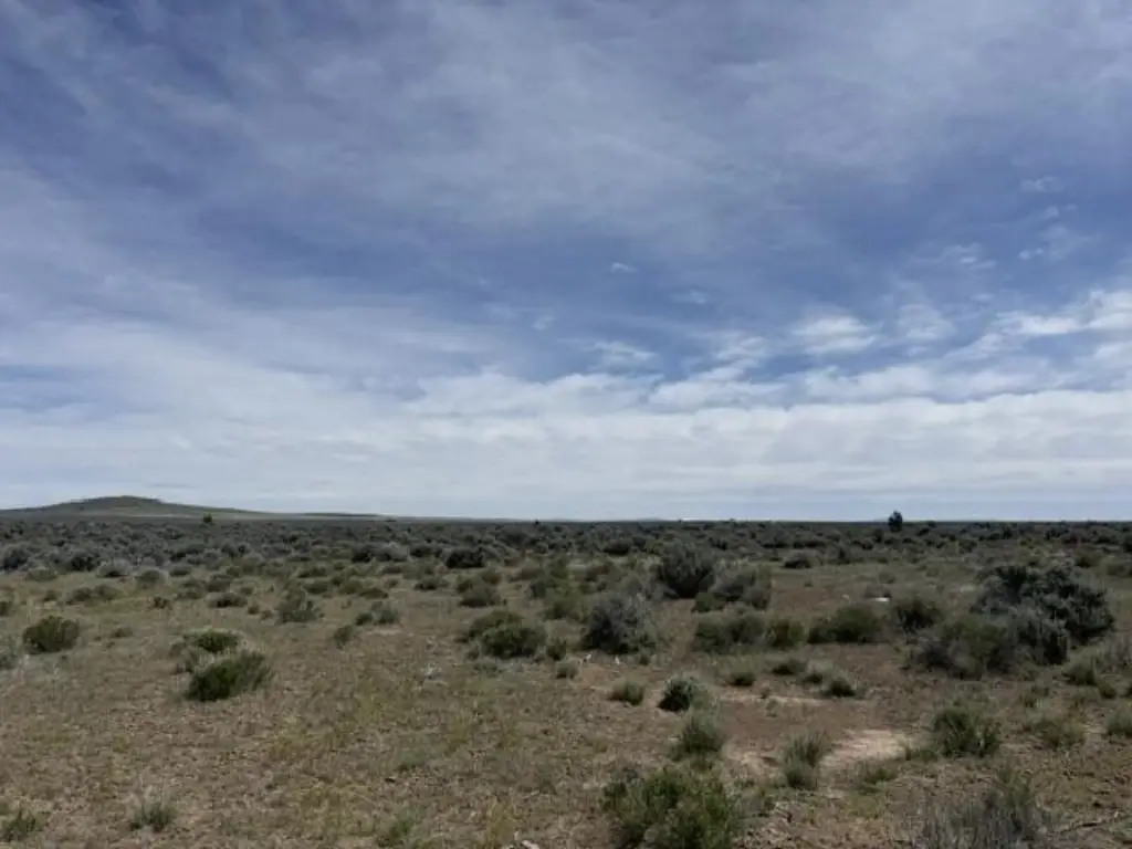 Picture 15