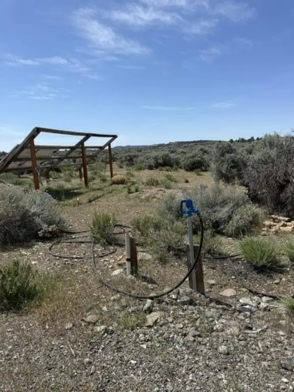 Picture 20