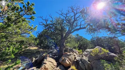 Westcliffe Land with Mountain Views