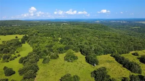Hunting Land with Timber