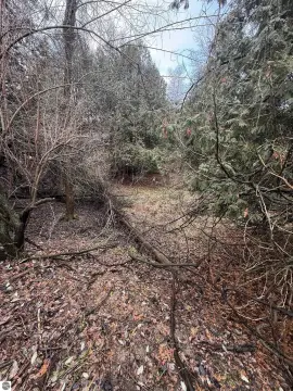 Two Acre Lot in Mt Pleasant