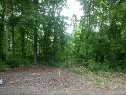 Residential Land in Lake Orion