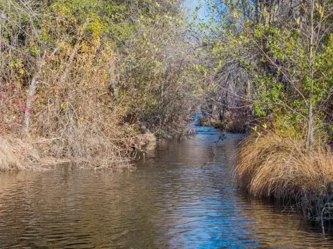 Oak Run Ranch with Income