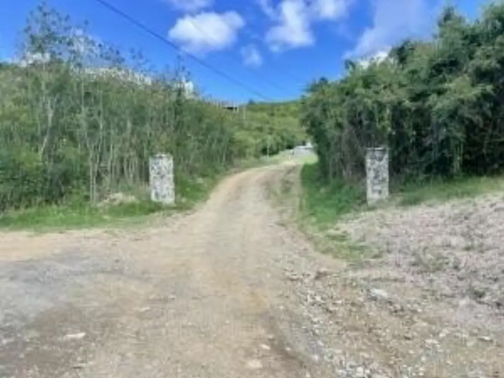Picture 14