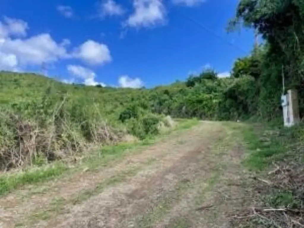 Picture 10