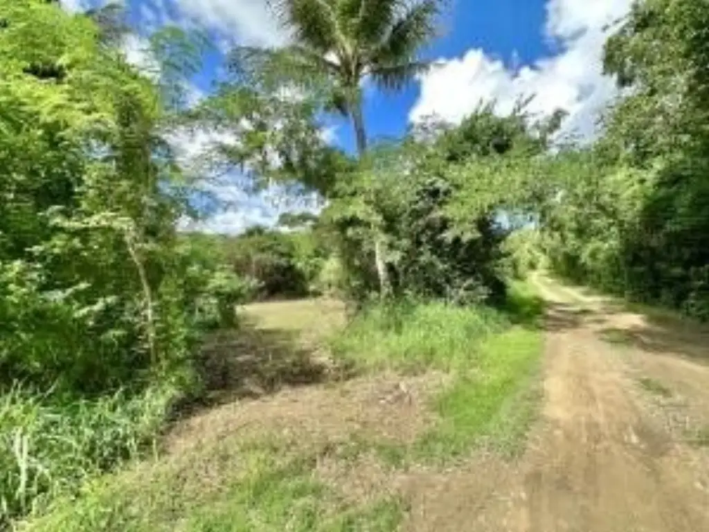 Picture 3