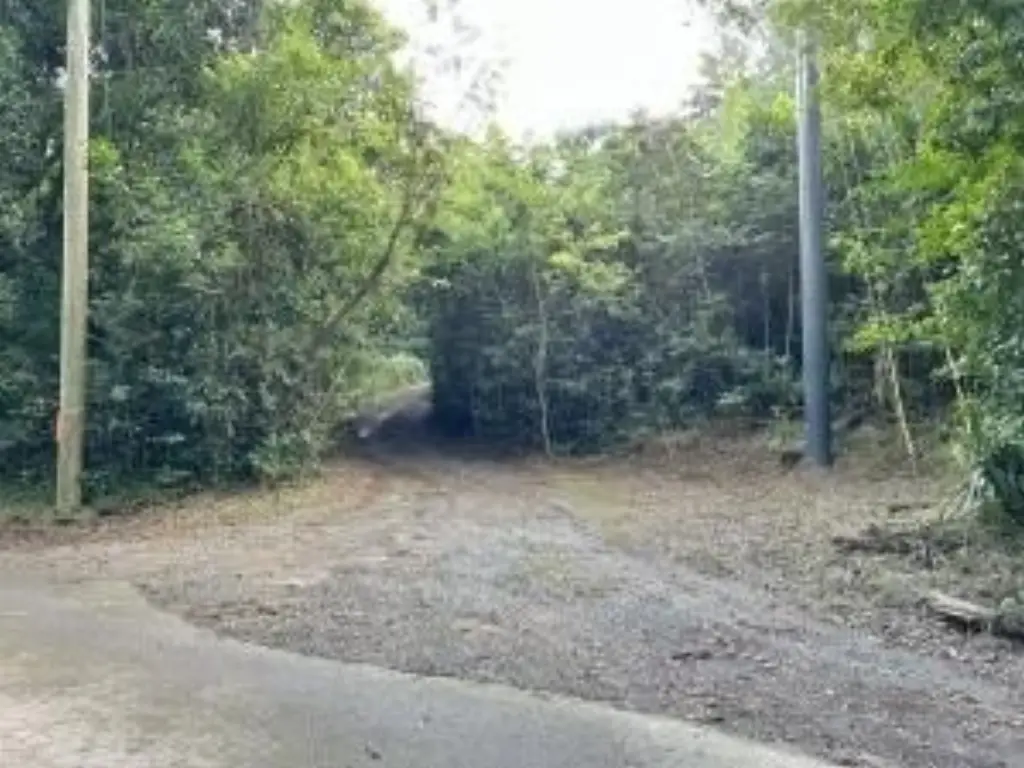 Picture 4