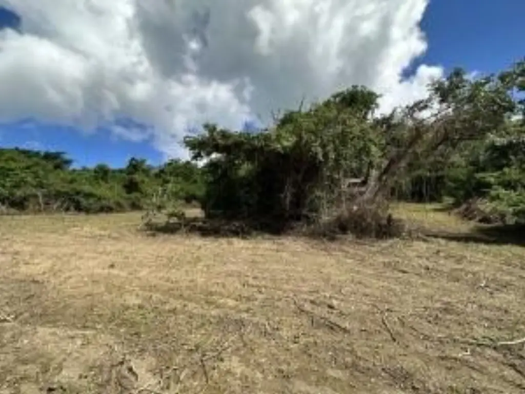 Picture 6