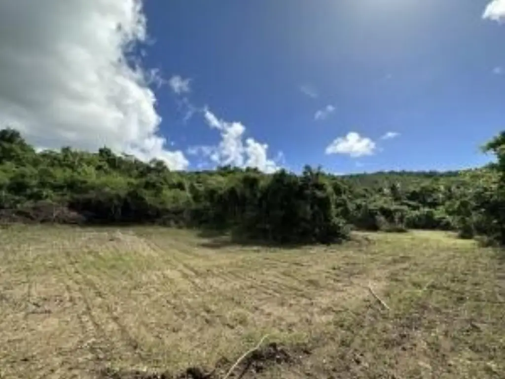 Picture 7