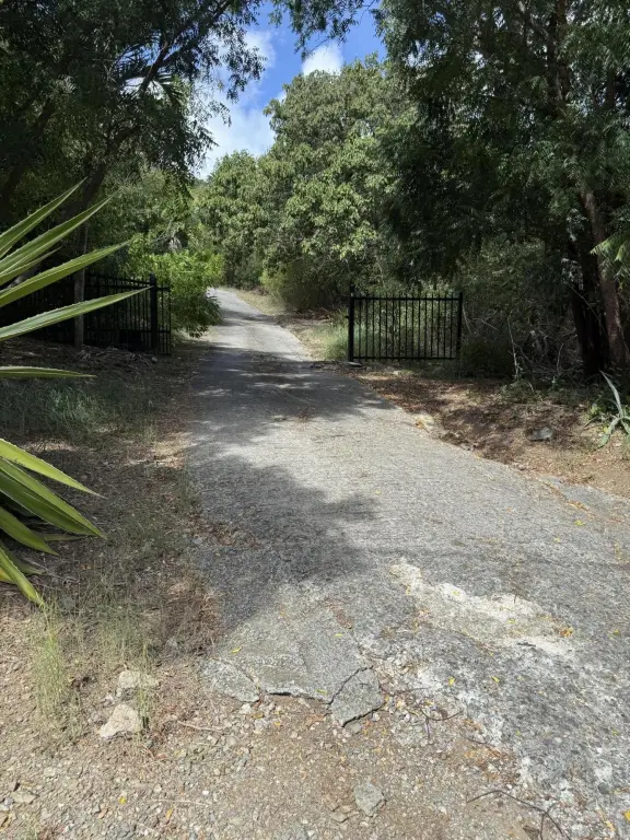 Picture 17