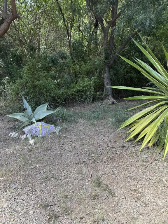 Picture 18