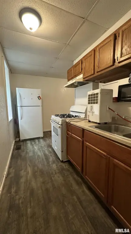 Picture 17